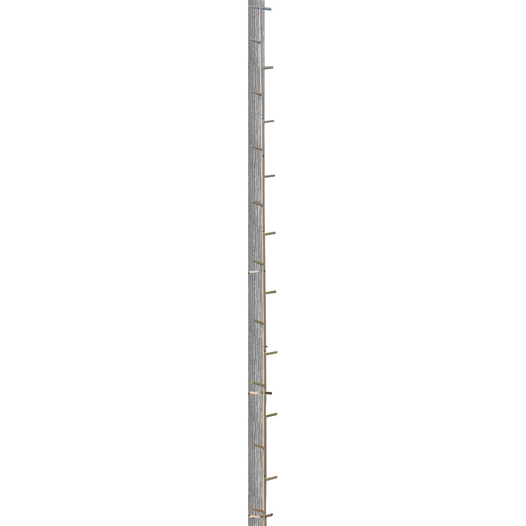 202167035.jpg