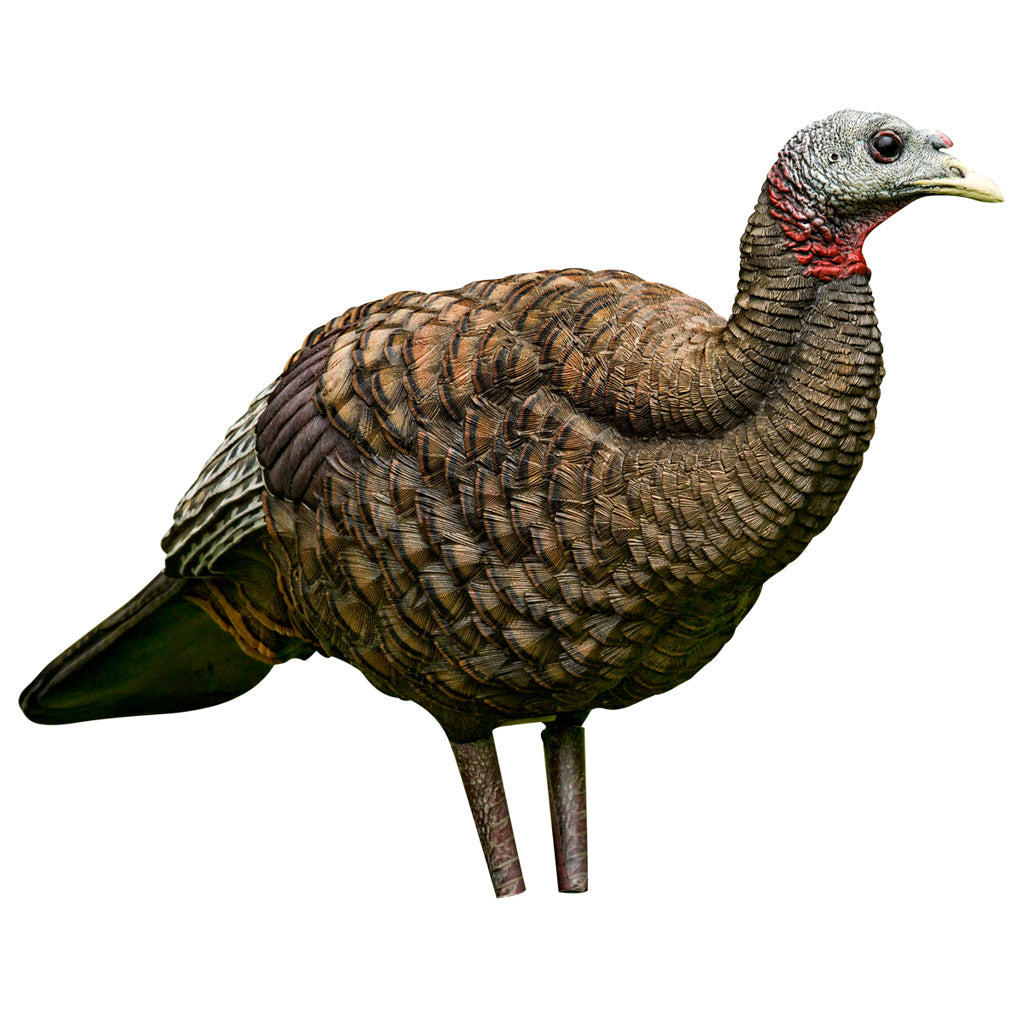 259516465.jpg
