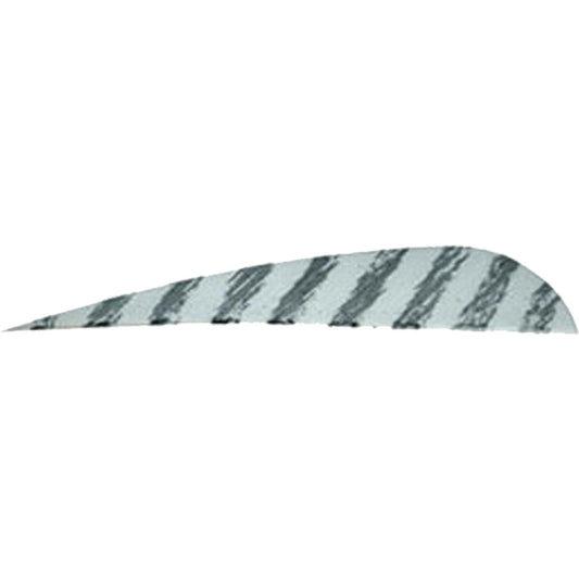 202165345.jpg