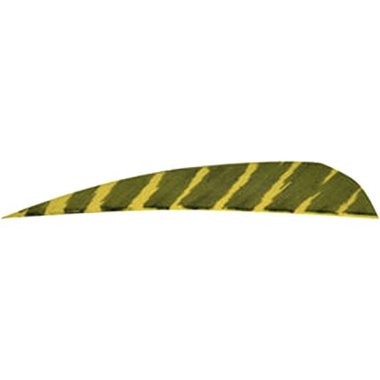 202165439.jpg