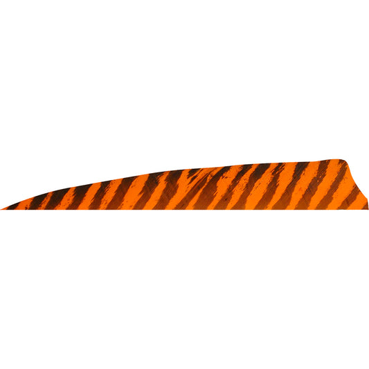 202168939.jpg