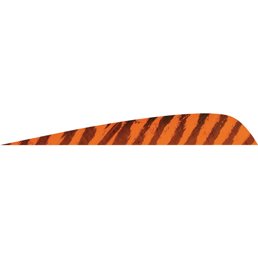 202168960.jpg