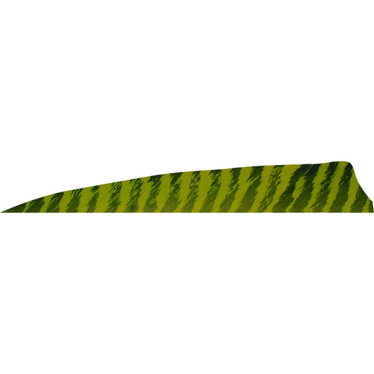 202175896.jpg