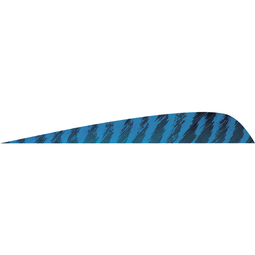 202176018.jpg