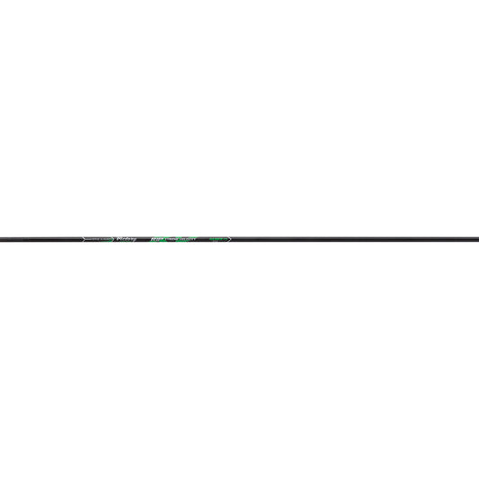 202184051.jpg